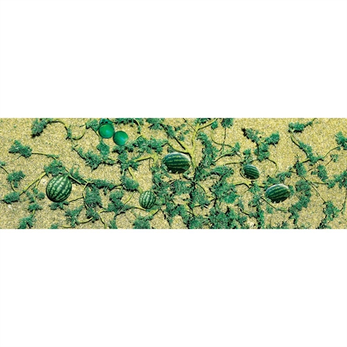 95575 Watermelon Patch, HO-Scale, (6 per pack)