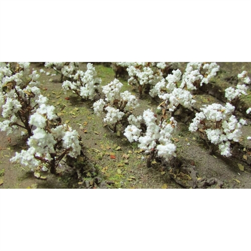 95590 Cotton Plants, HO-Scale, (40 per pack)