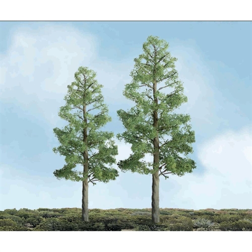 Pine, 8in, (1 per pack)