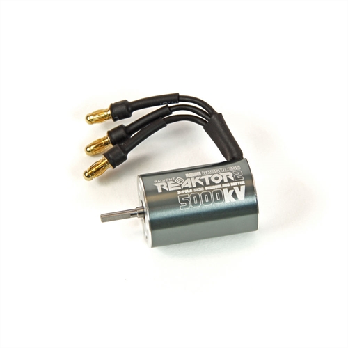 "Reaktor Brushless Motor NS 5000kV 2-Pole, 2030"