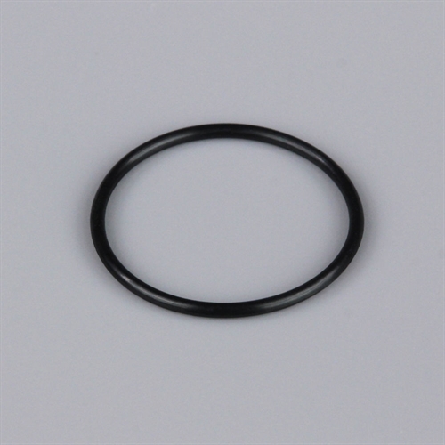 L001 Rear Crankcase Cover O-Ring