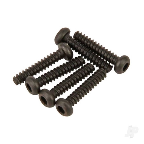 Round Head Self Tapping Hex Screw 2x10 (6pcs) (Karoo)