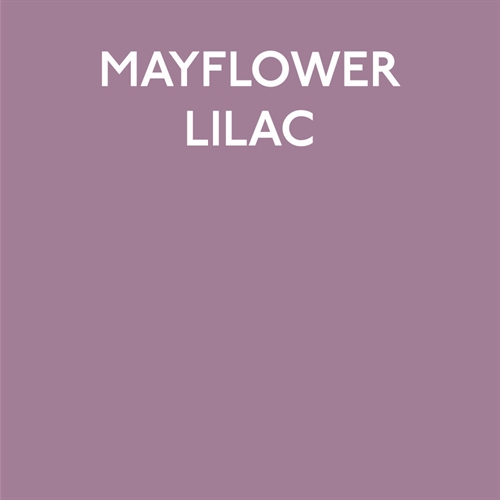 Jubilee Maker Paint, Mayflower Lilac (60ml)