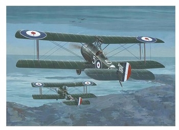 Sopwith 1½ Strutter WWI Comic Fighter, 1917/18