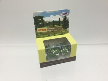 Hydrangeas (Pack of 12)