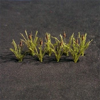 Bulrushes (Pack of 20)