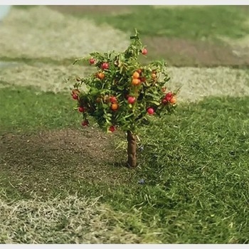 Apple Trees (Pack of 4)