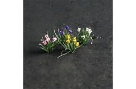 Water Iris (Pack of 16)