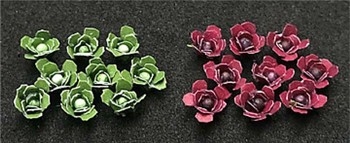 Cabbages (Pack of 18)