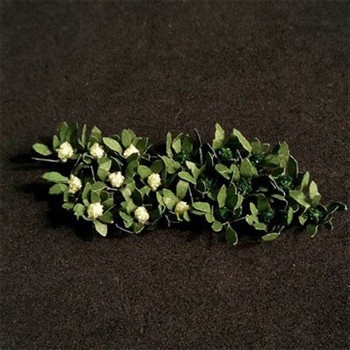 Broccoli and Cauliflowers (Pack of 18)