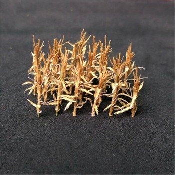 Dried Corn Stalks (Pack of 24)
