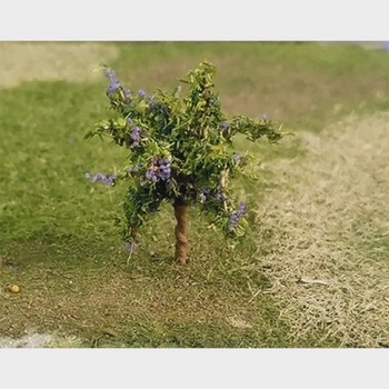 Plum Trees (Pack of 4)