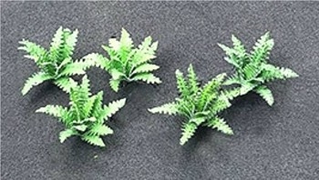 Ferns (Pack of 14)