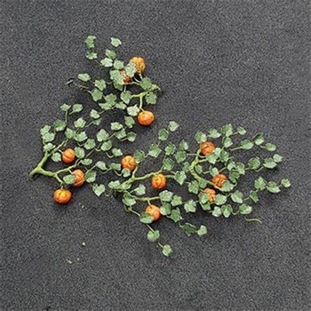 Pumpkins (Pack of 5)