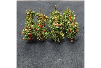 Apple Saplings (Pack of 12)