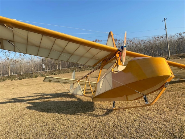Valueplanes SG38 Schulgleiter Glider Laser Cut Balsa Kit 1/3 scale 3.4M