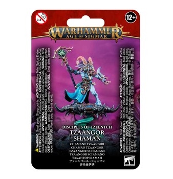 Tzaangor Shaman