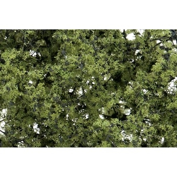Light Green Fine Leaf Foliage