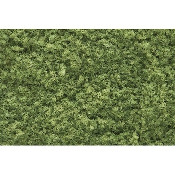 Light Green Foliage