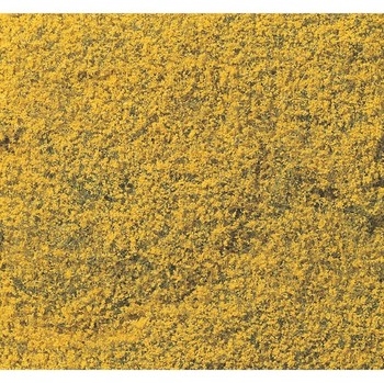 Yellow Flowering Foliage