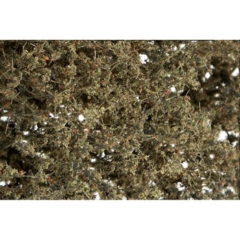 Dead Foliage Fine Leaf Foliage