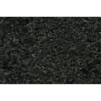 Conifer Green Foliage