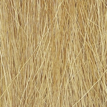 Harvest Gold Field Grass