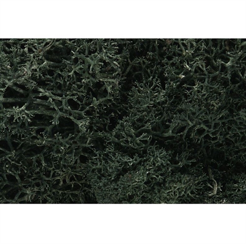 Dark Green Lichen